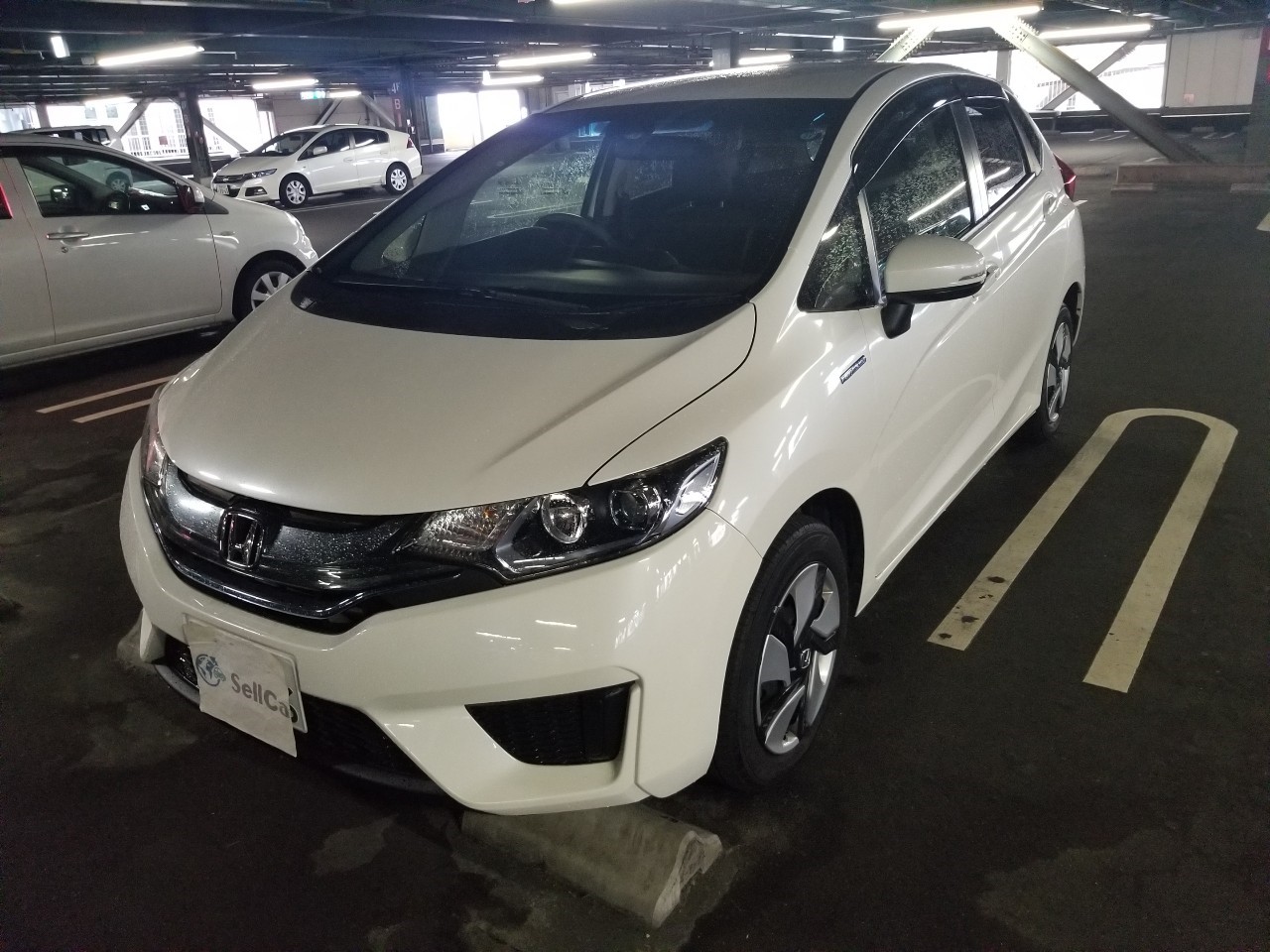 ホンダ フィットハイブリッドの売買実績画像