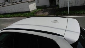 正面ルーフ