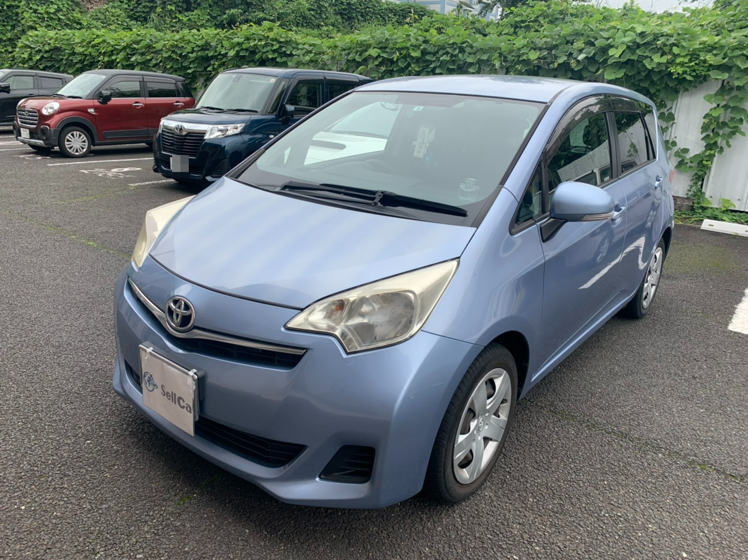 トヨタ ラクティスの売買実績画像