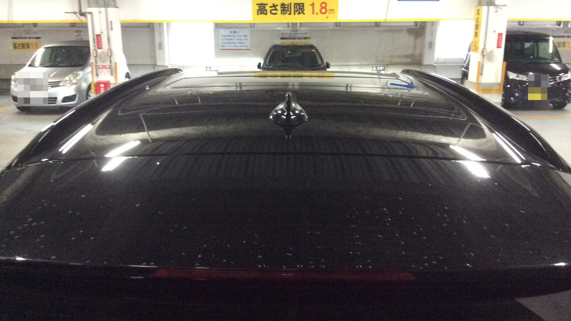 正面ルーフ