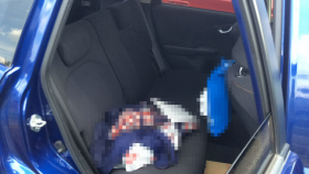 内装後方シート