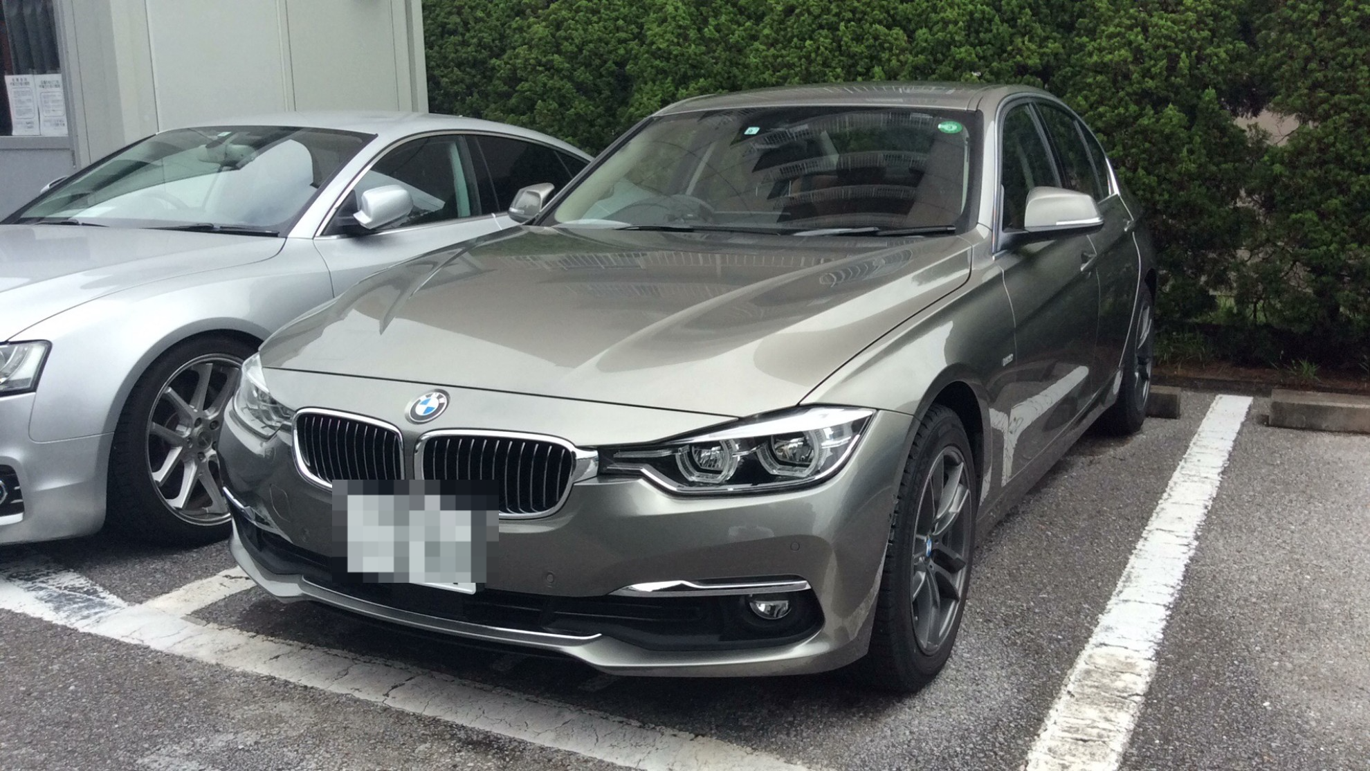 ＢＭＷ ３シリーズの売買実績画像
