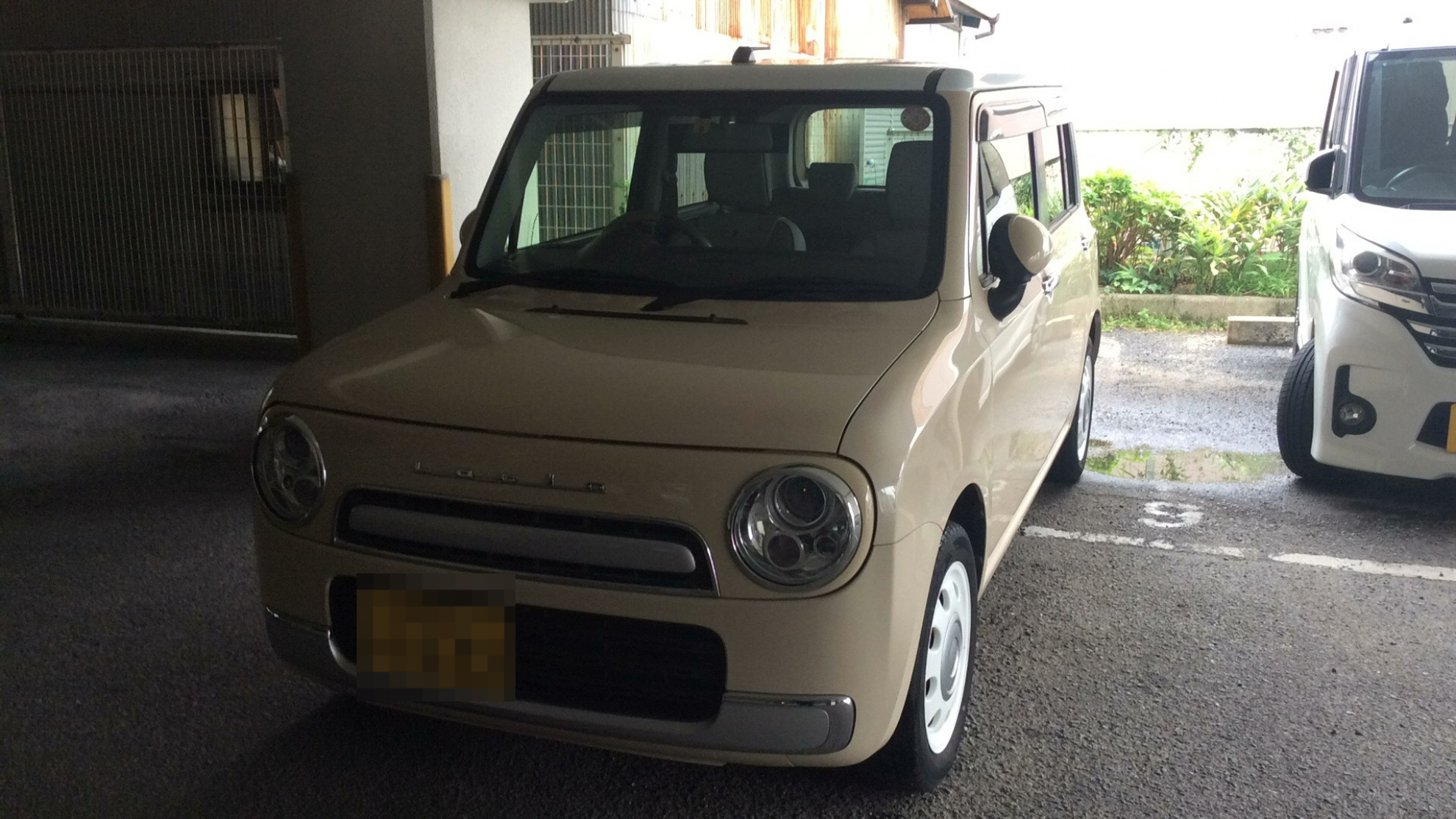 スズキ アルトラパンショコラの売買実績画像