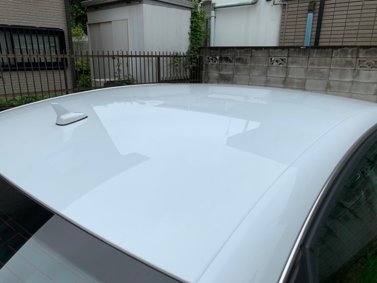 正面ルーフ