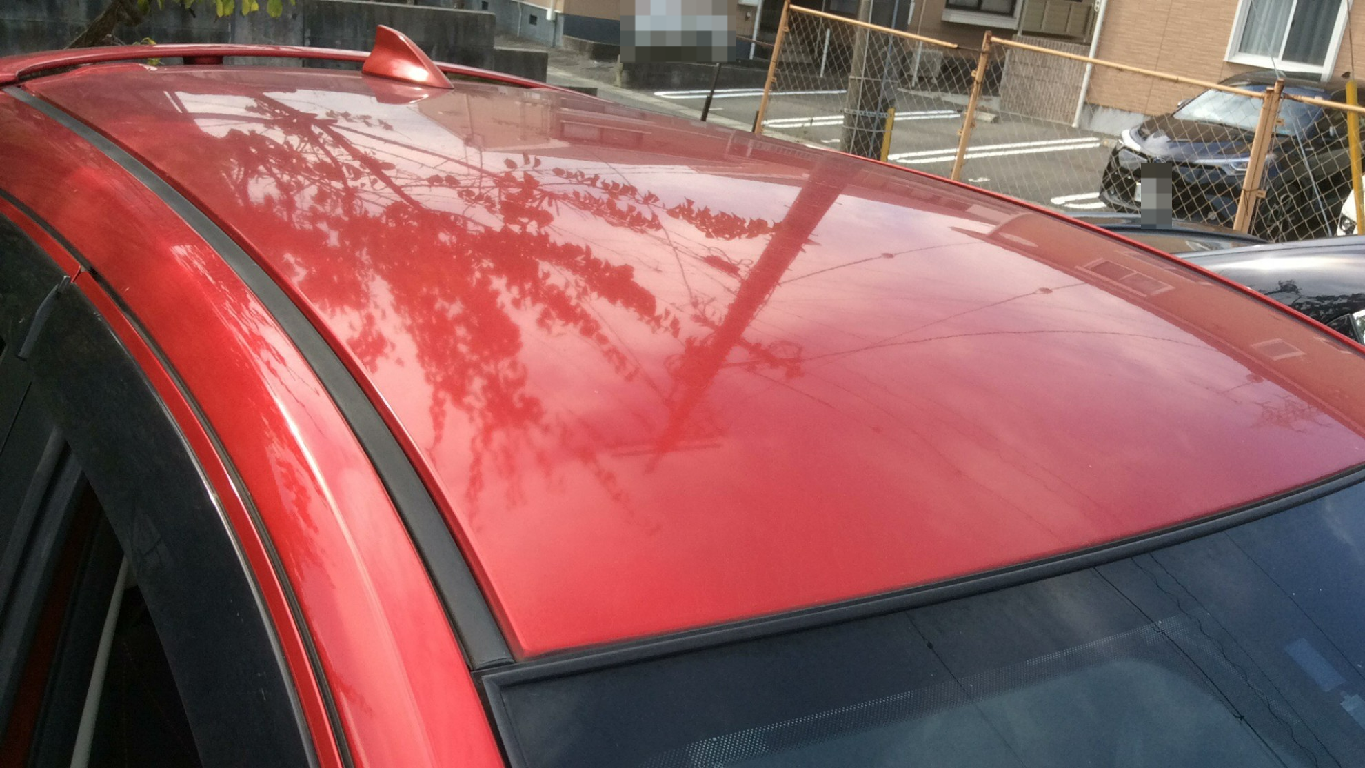 正面ルーフ