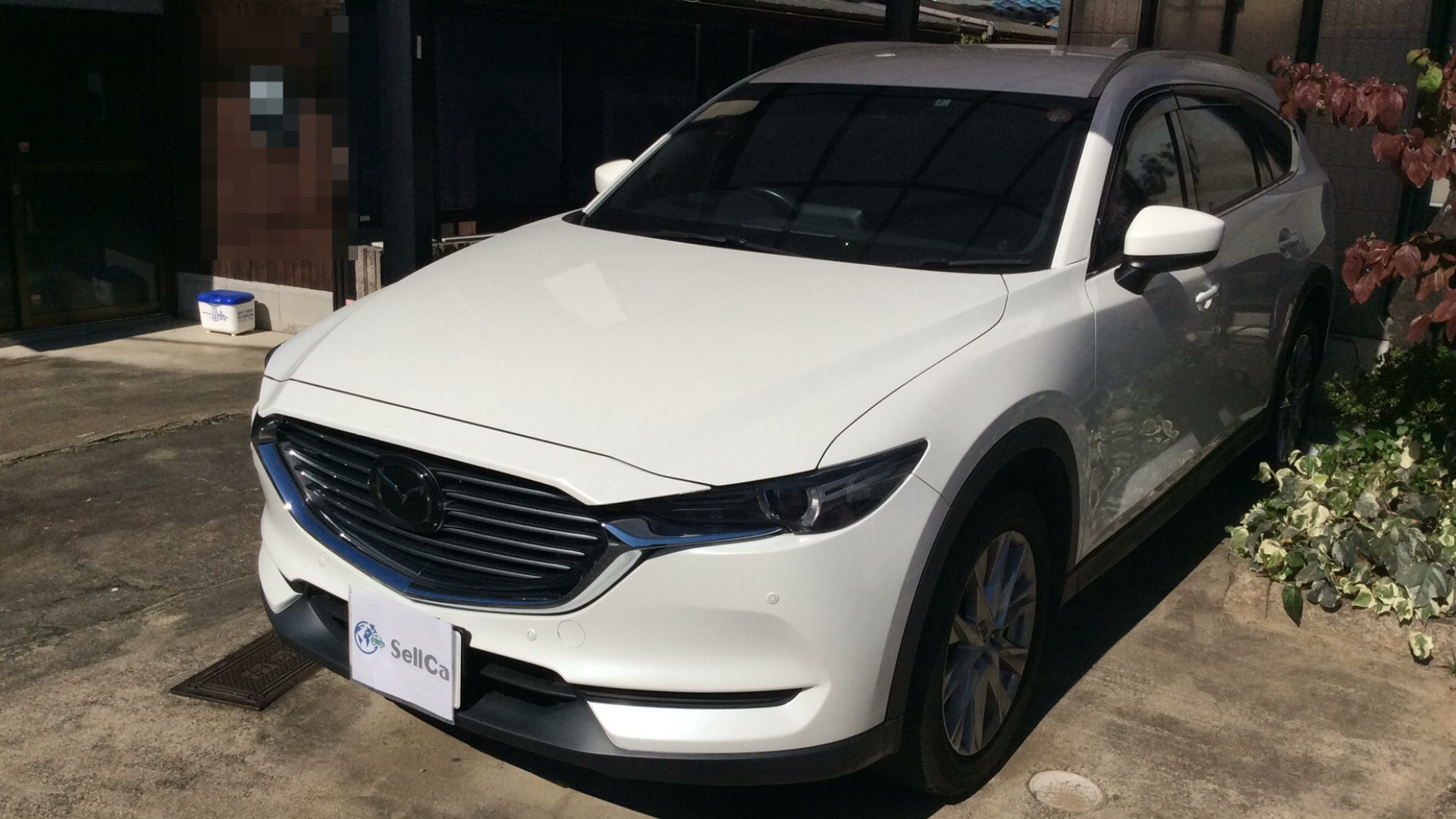 マツダ ＣＸ－８の売買実績画像
