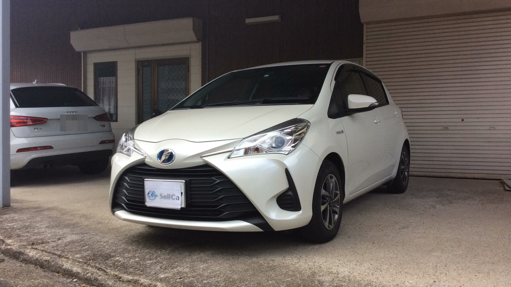 トヨタ ヴィッツの売買実績画像