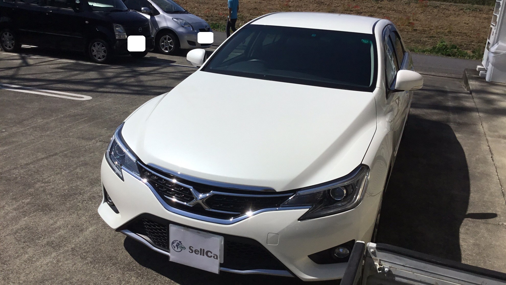 トヨタ マークＸの売買実績画像