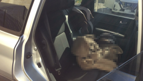 内装後方シート