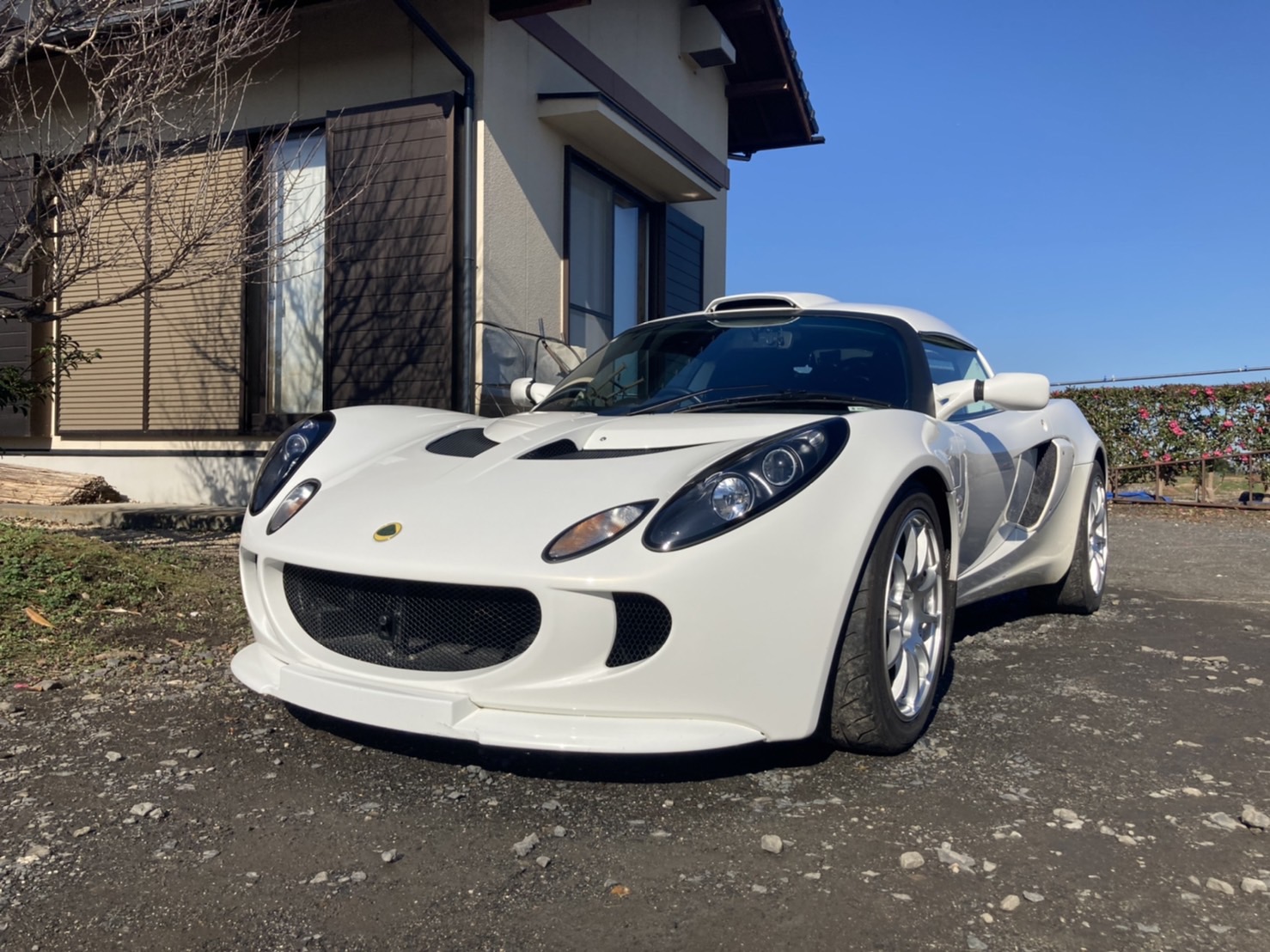 ロータス エキシージの売買実績画像