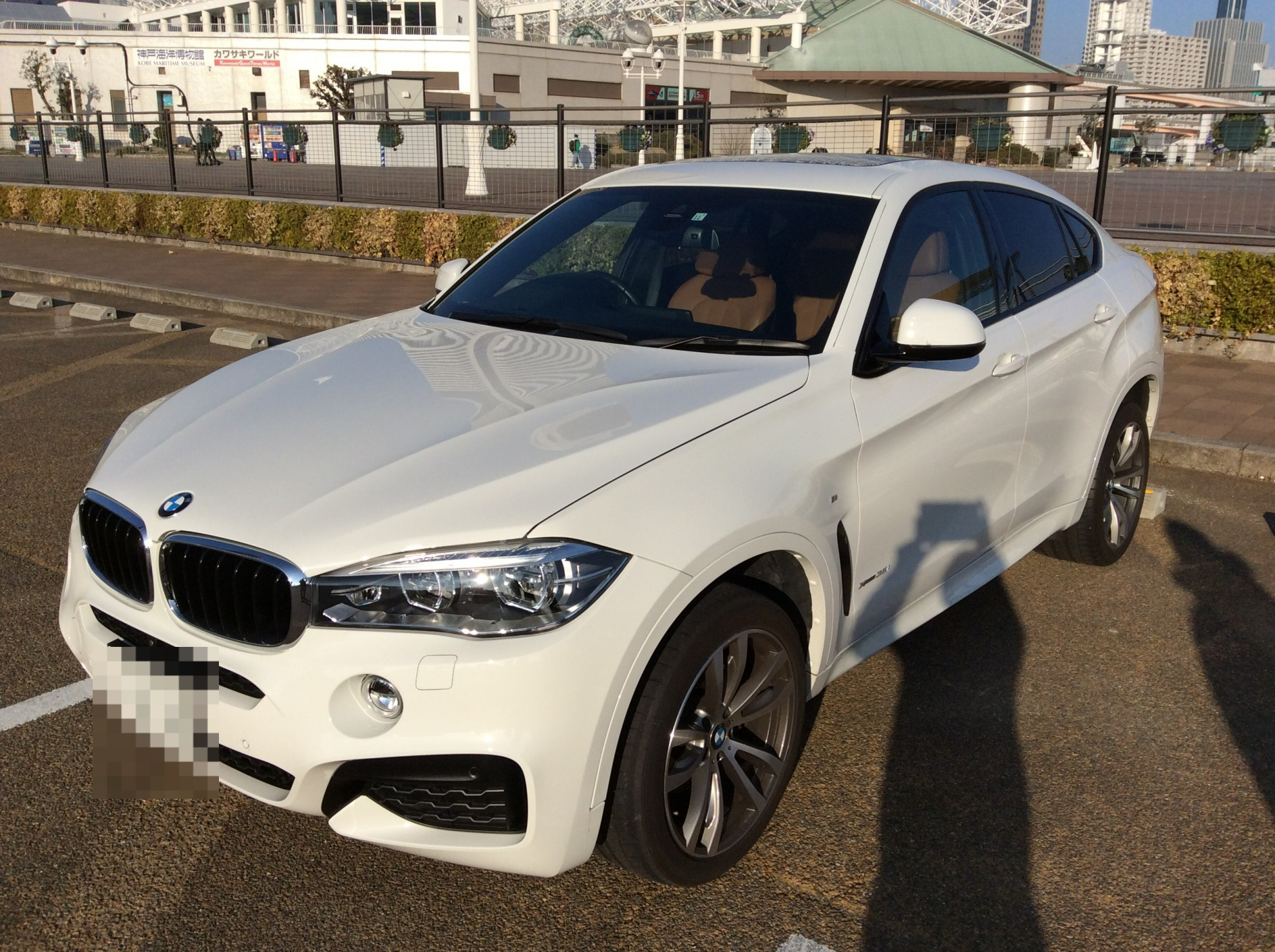ＢＭＷ Ｘ６の売買実績画像
