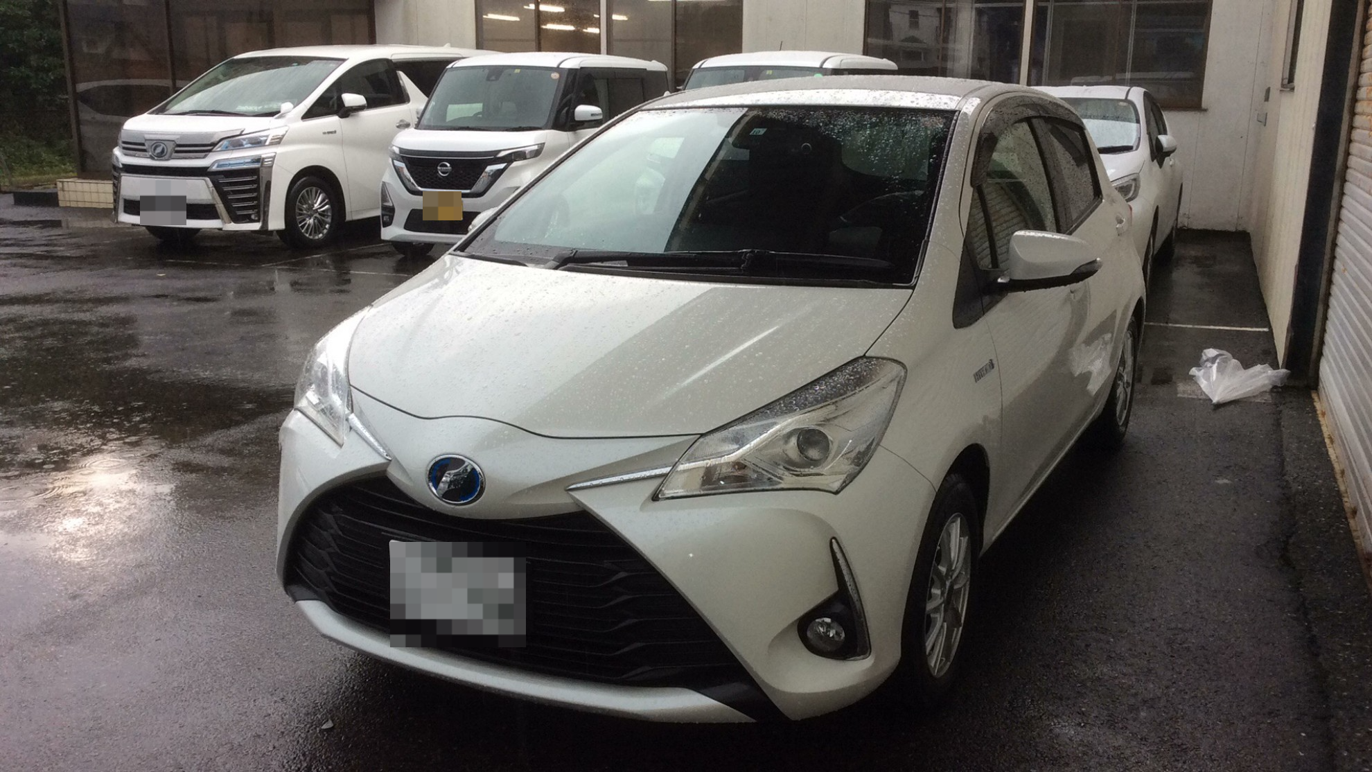 トヨタ ヴィッツの売買実績画像