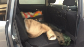 内装後方シート