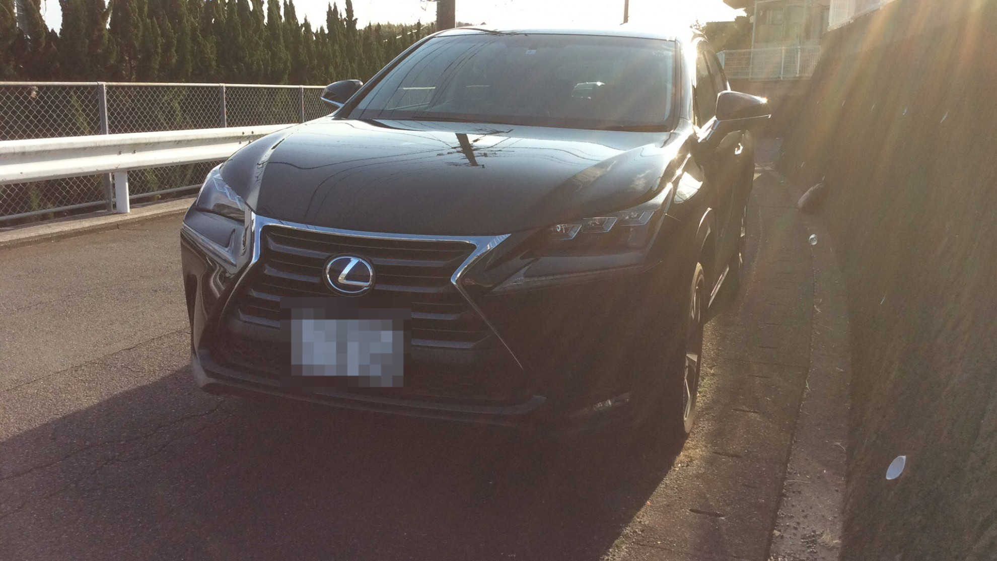 レクサス NXの売買実績画像