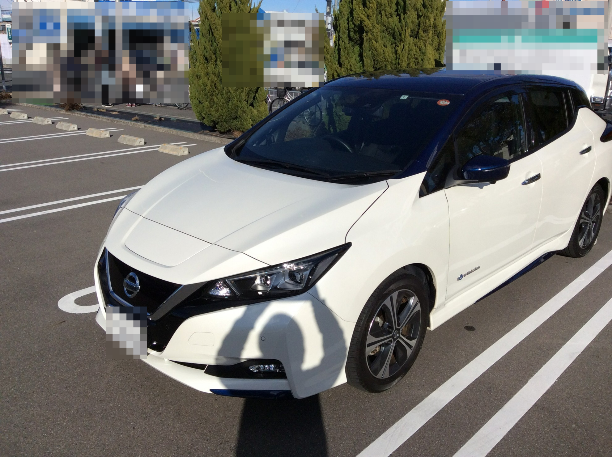 日産 リーフの売買実績画像