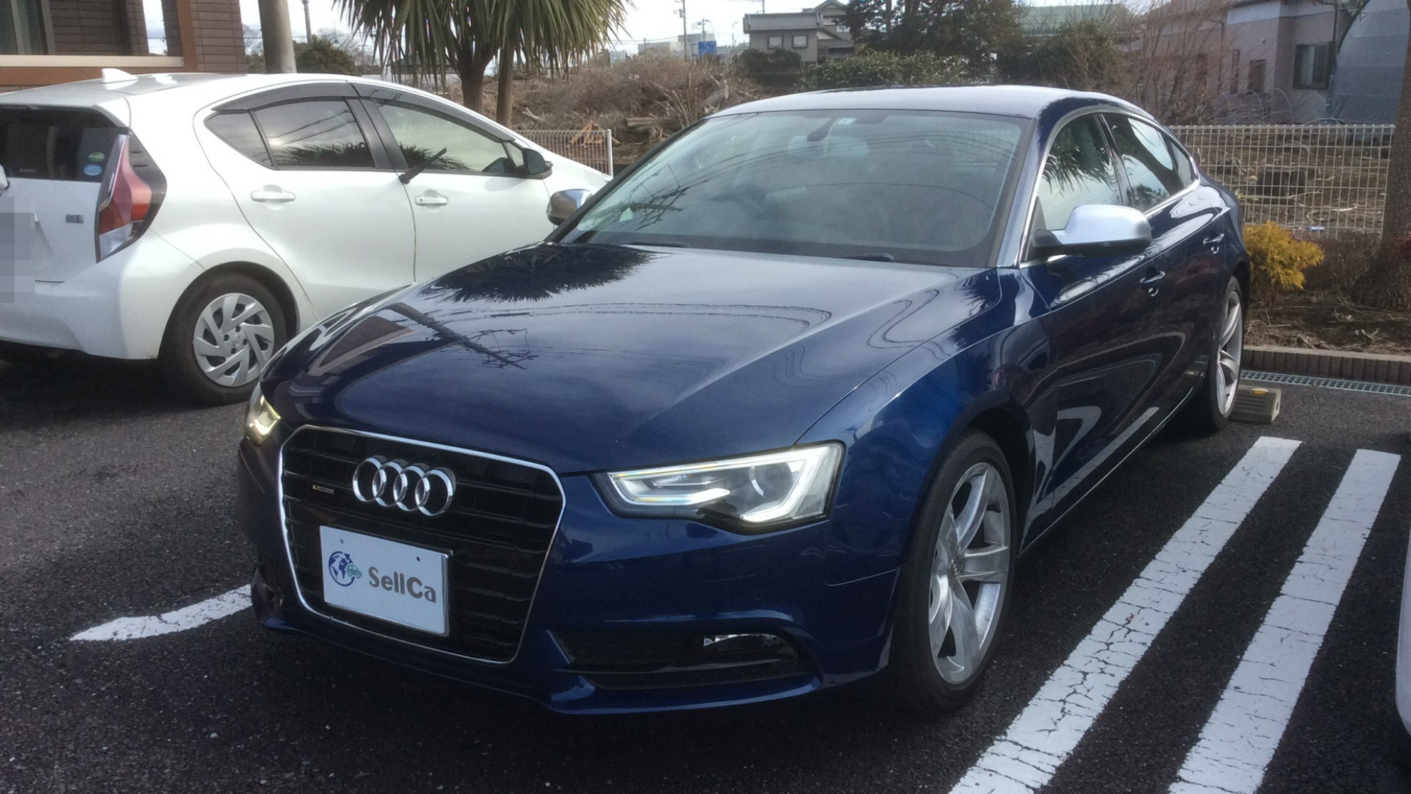 アウディ Ａ５スポーツバックの売買実績画像