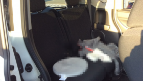 内装後方シート