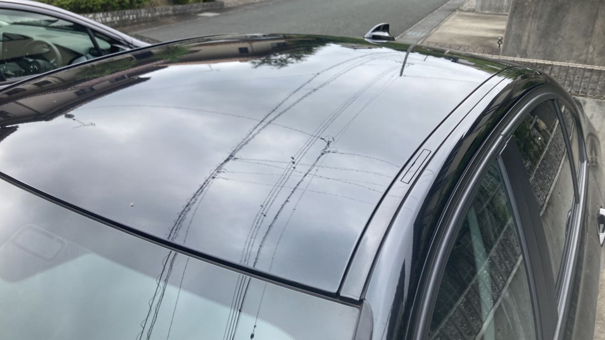 正面ルーフ