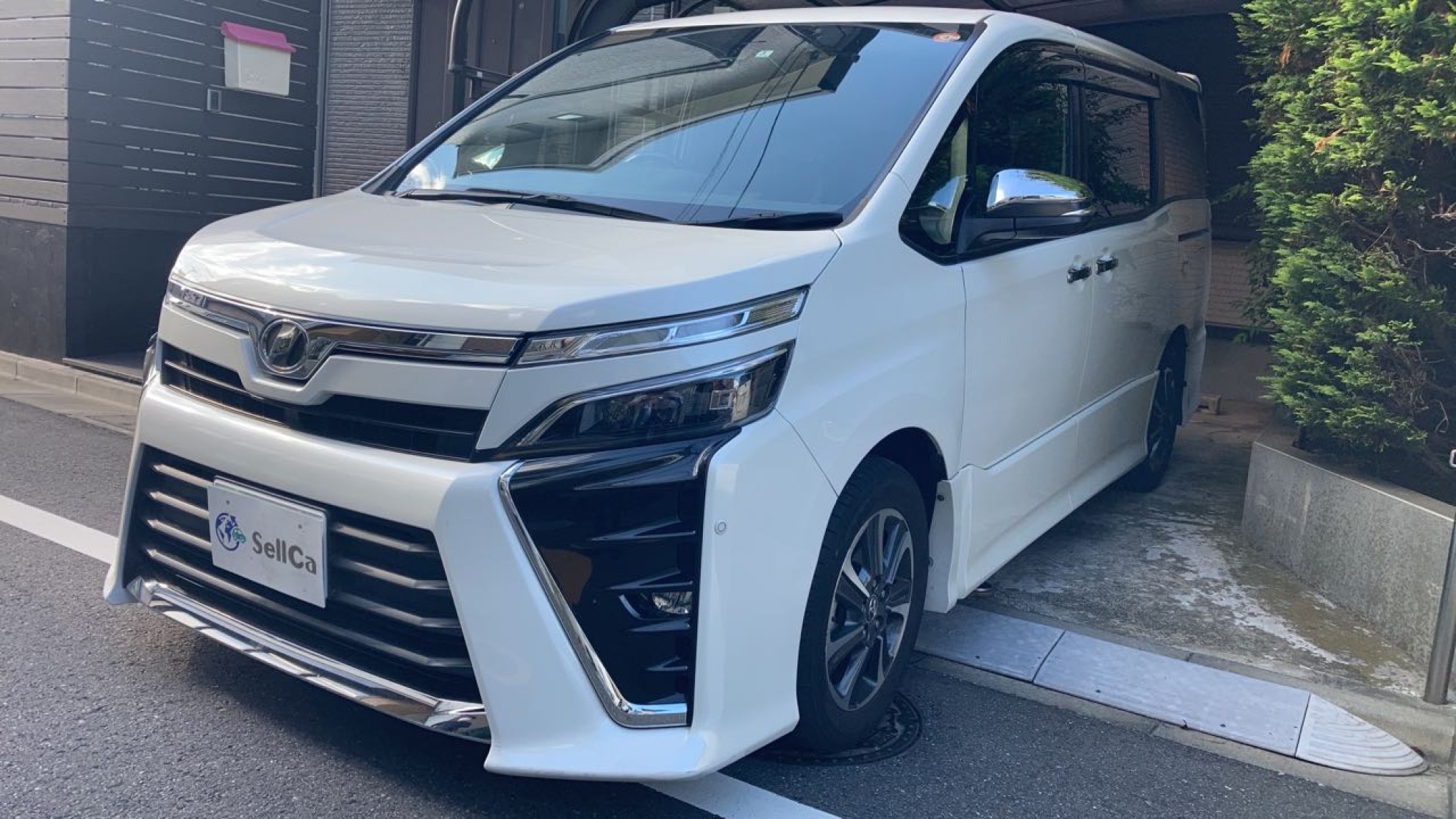 トヨタ ヴォクシーの売買実績画像