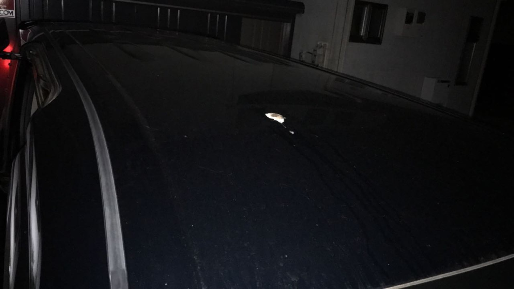 正面ルーフ