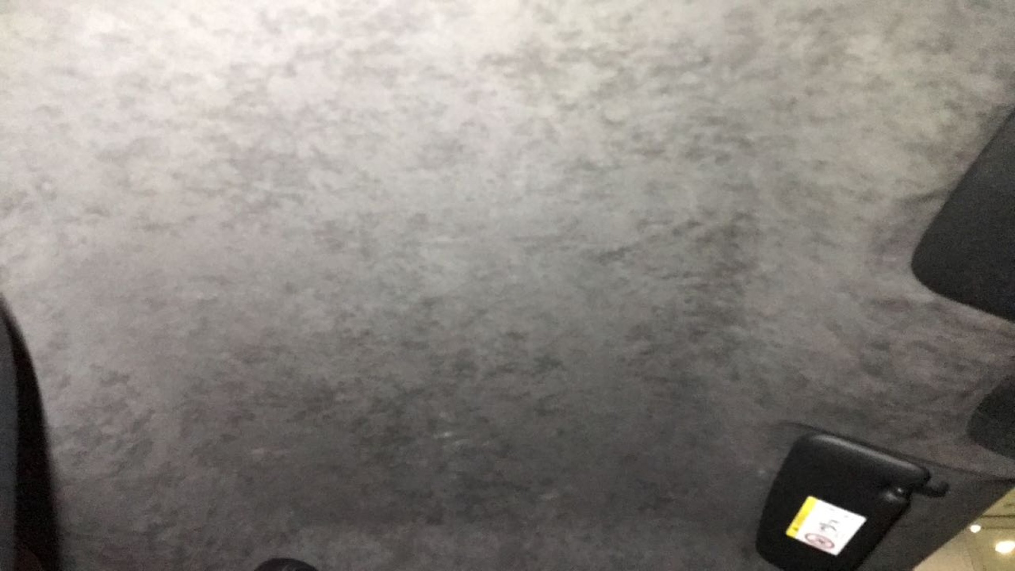 内装ルーフ