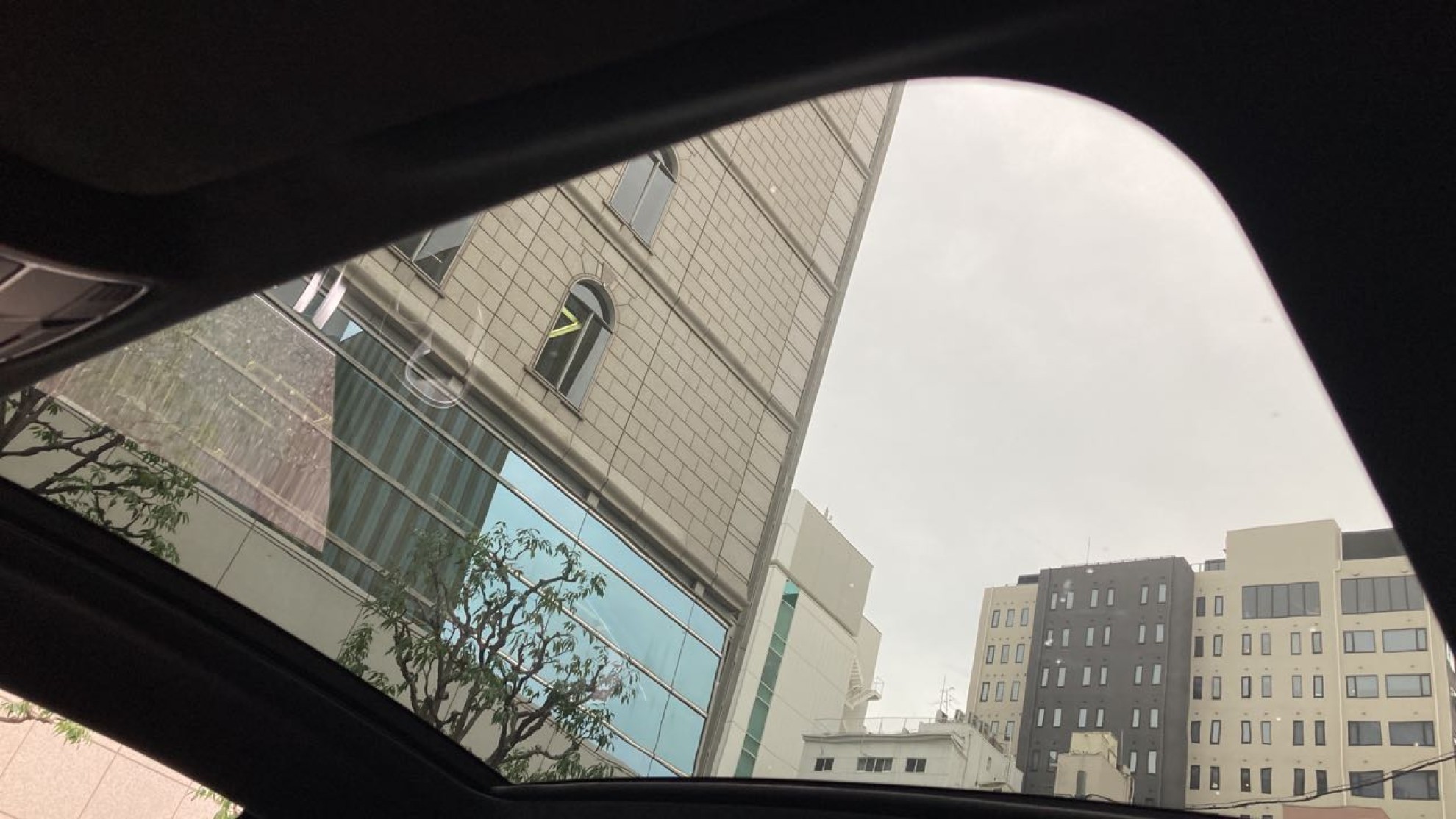 内装ルーフ