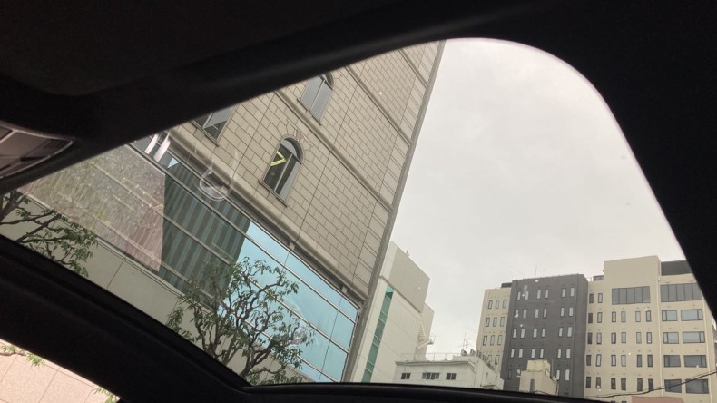 内装ルーフ