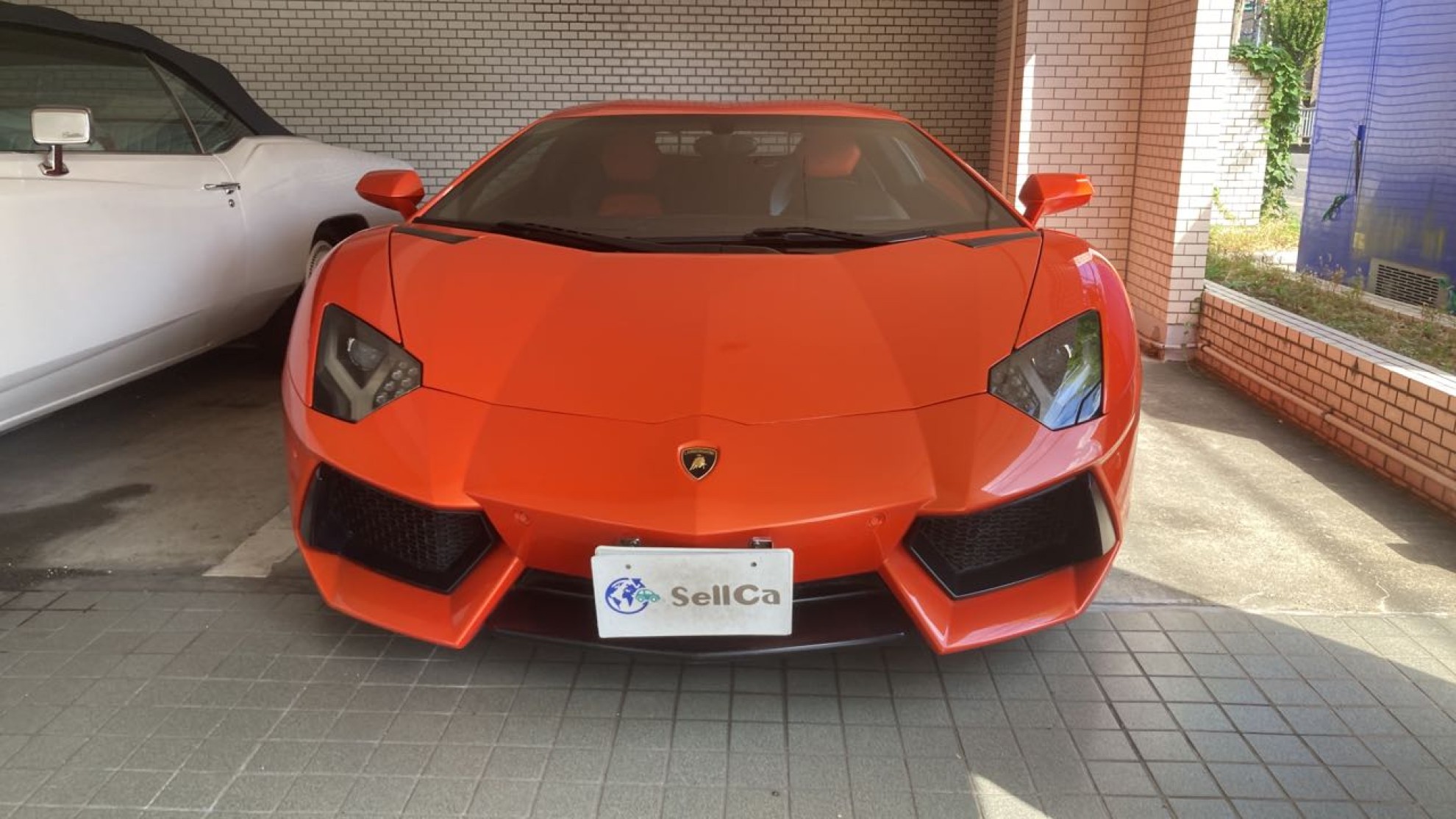 外装前方