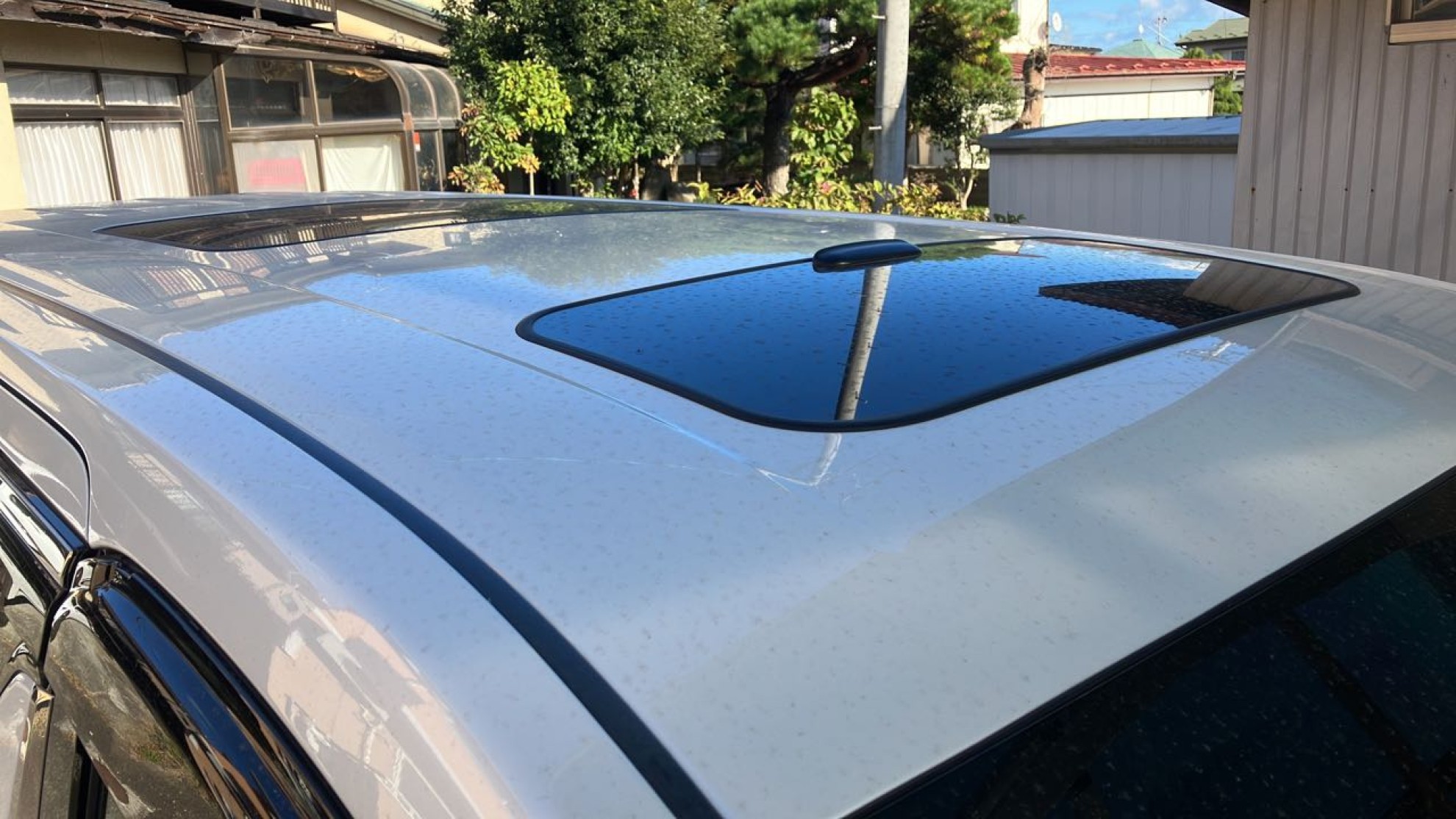 正面ルーフ