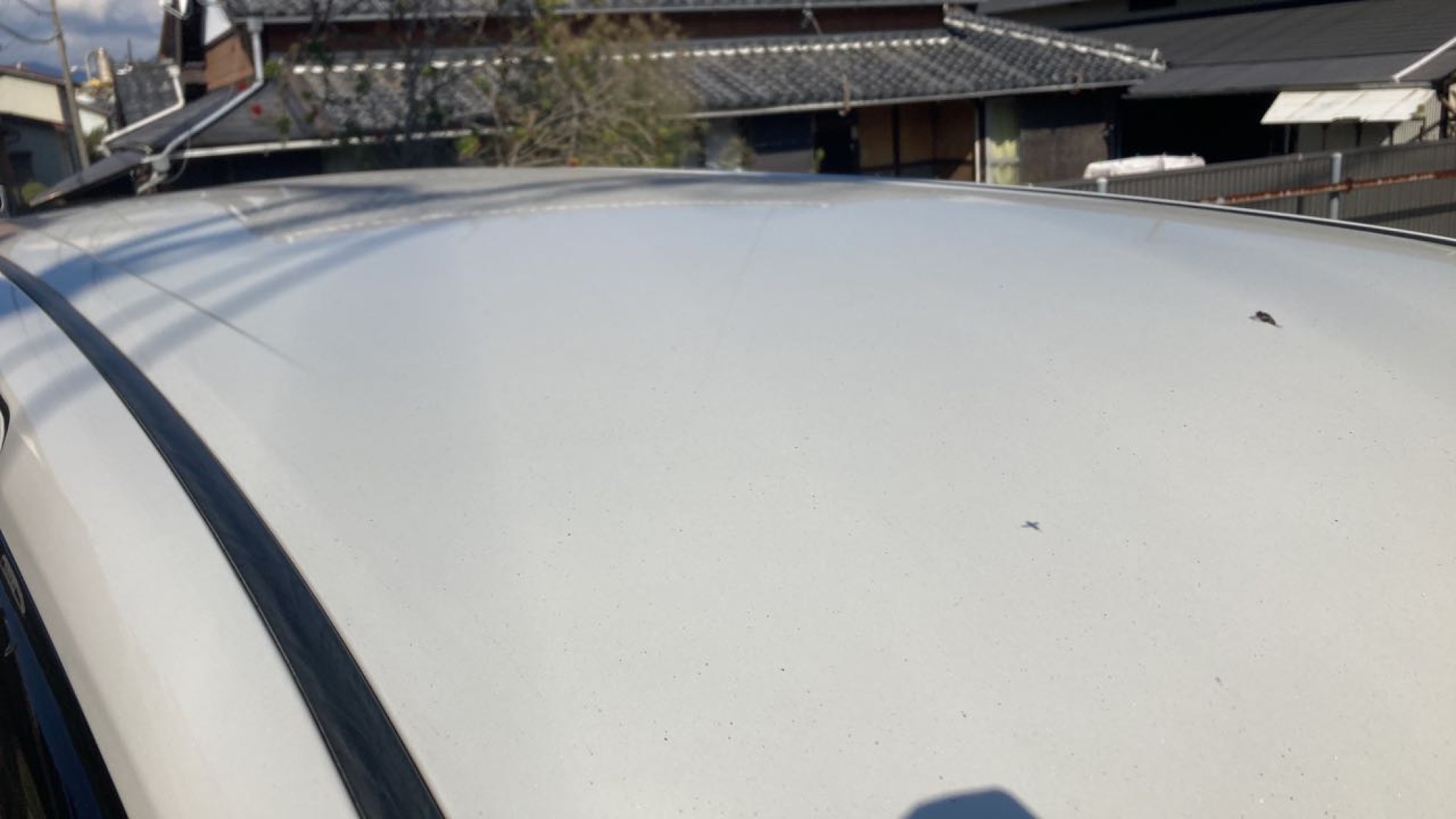 正面ルーフ