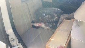 内装後方シート