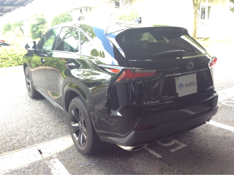 exterior_left_back