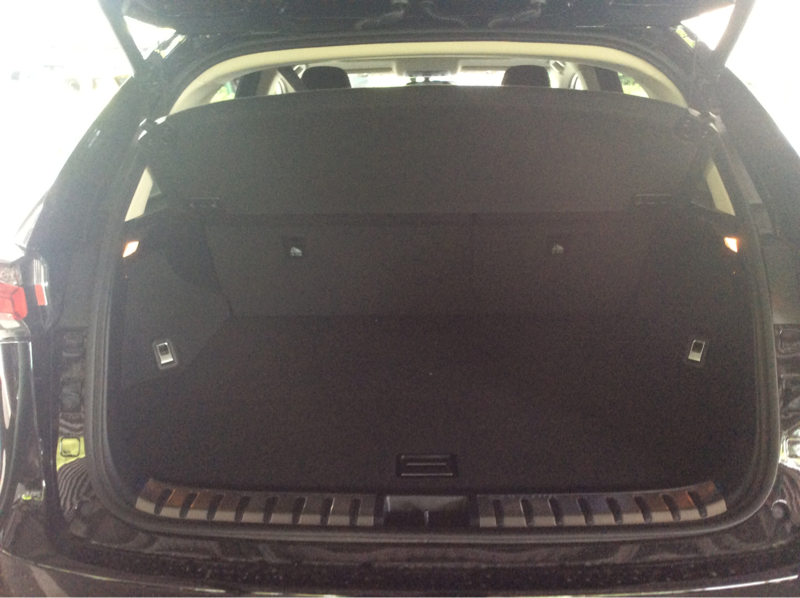 interior_trunk