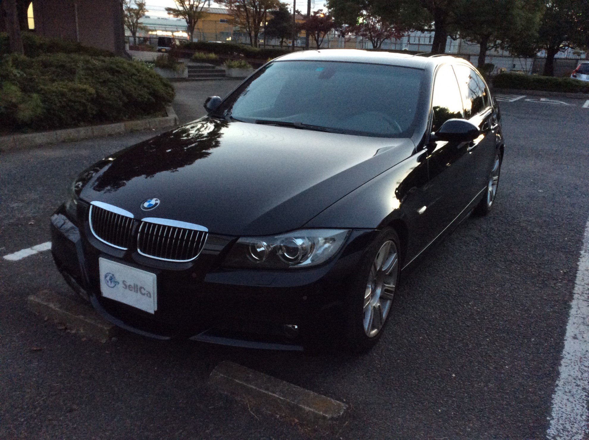 ＢＭＷ ３シリーズの売買実績画像