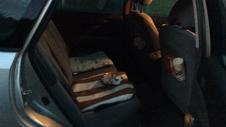 内装後方シート