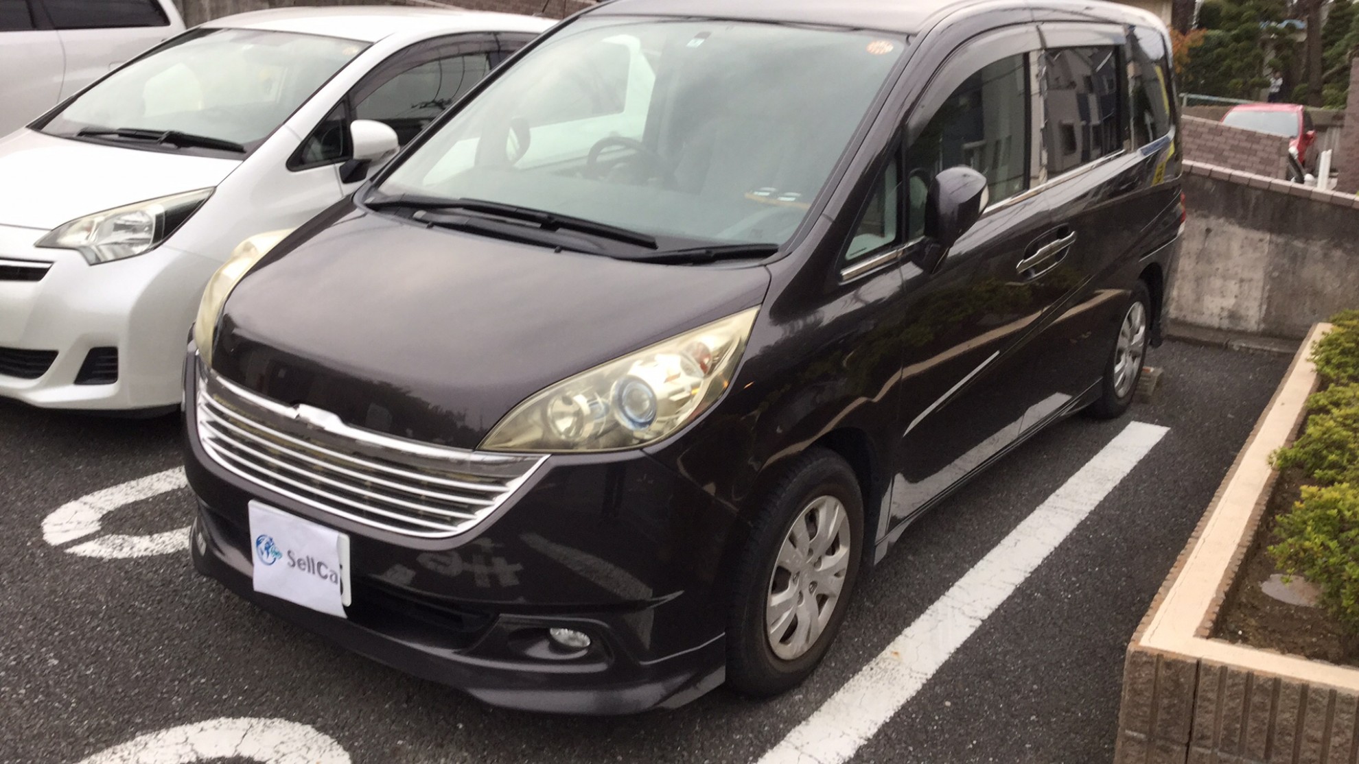 ホンダ ステップワゴンの売買実績画像