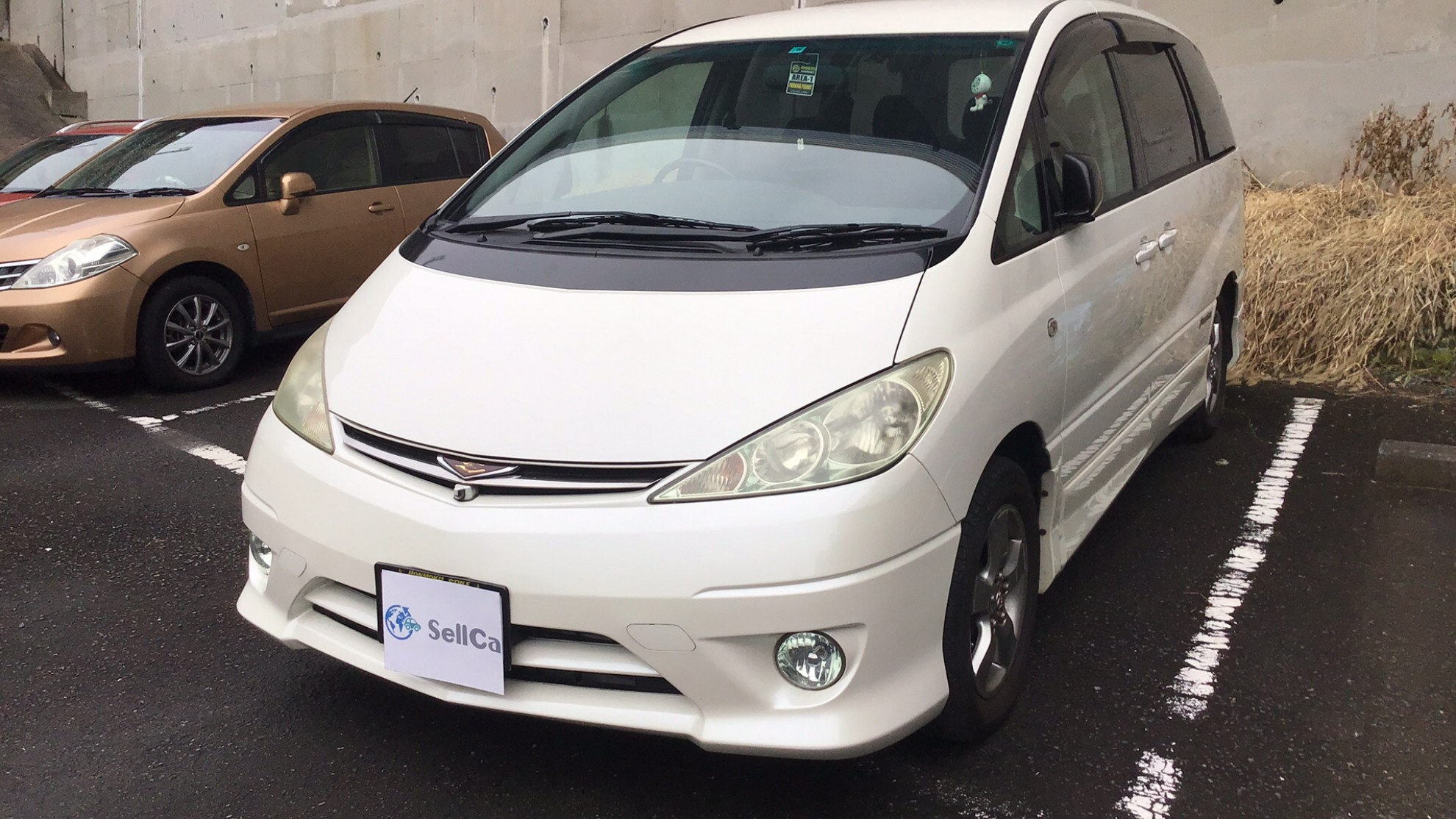 トヨタ エスティマＴの売買実績画像