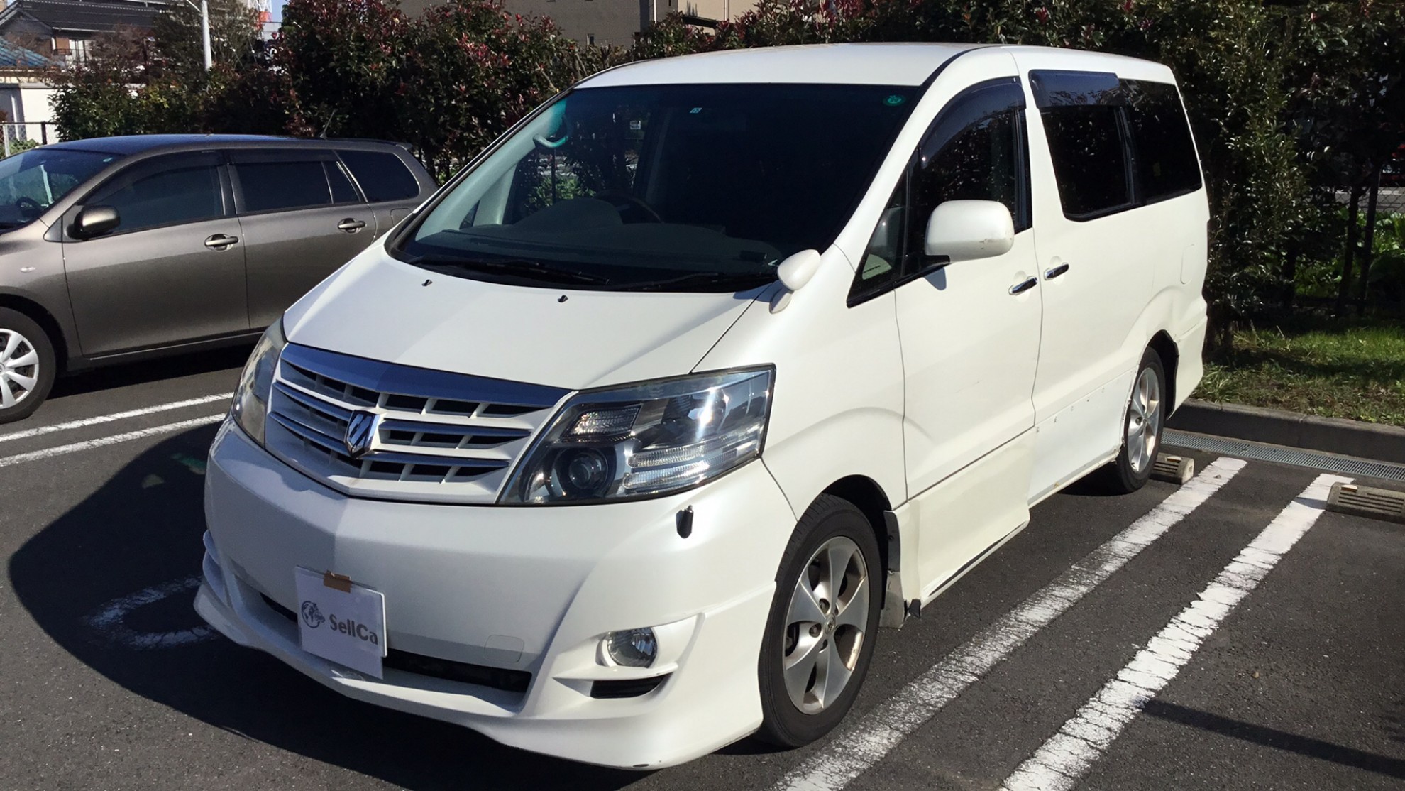 トヨタ アルファードVの売買実績画像
