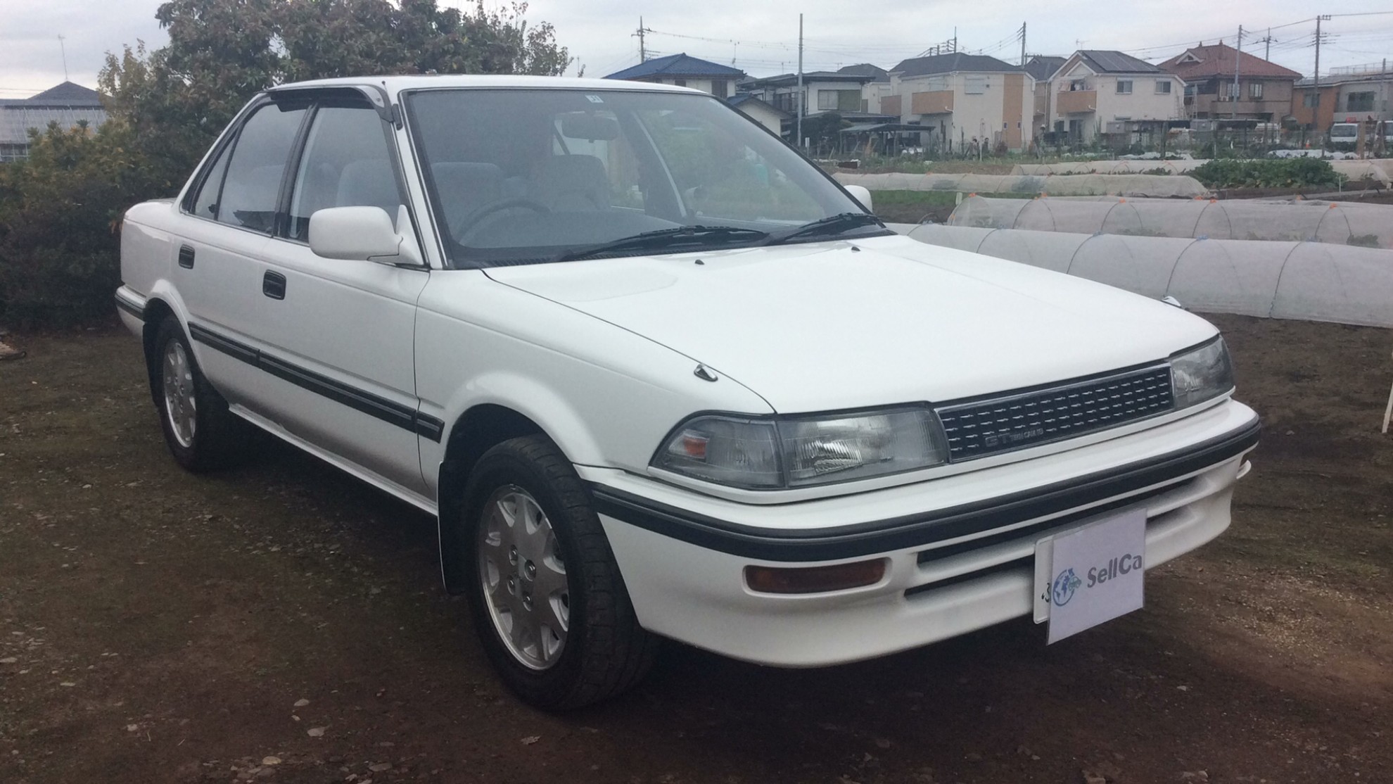 トヨタ カローラの売買実績画像