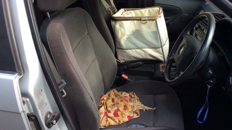 内装前方シート