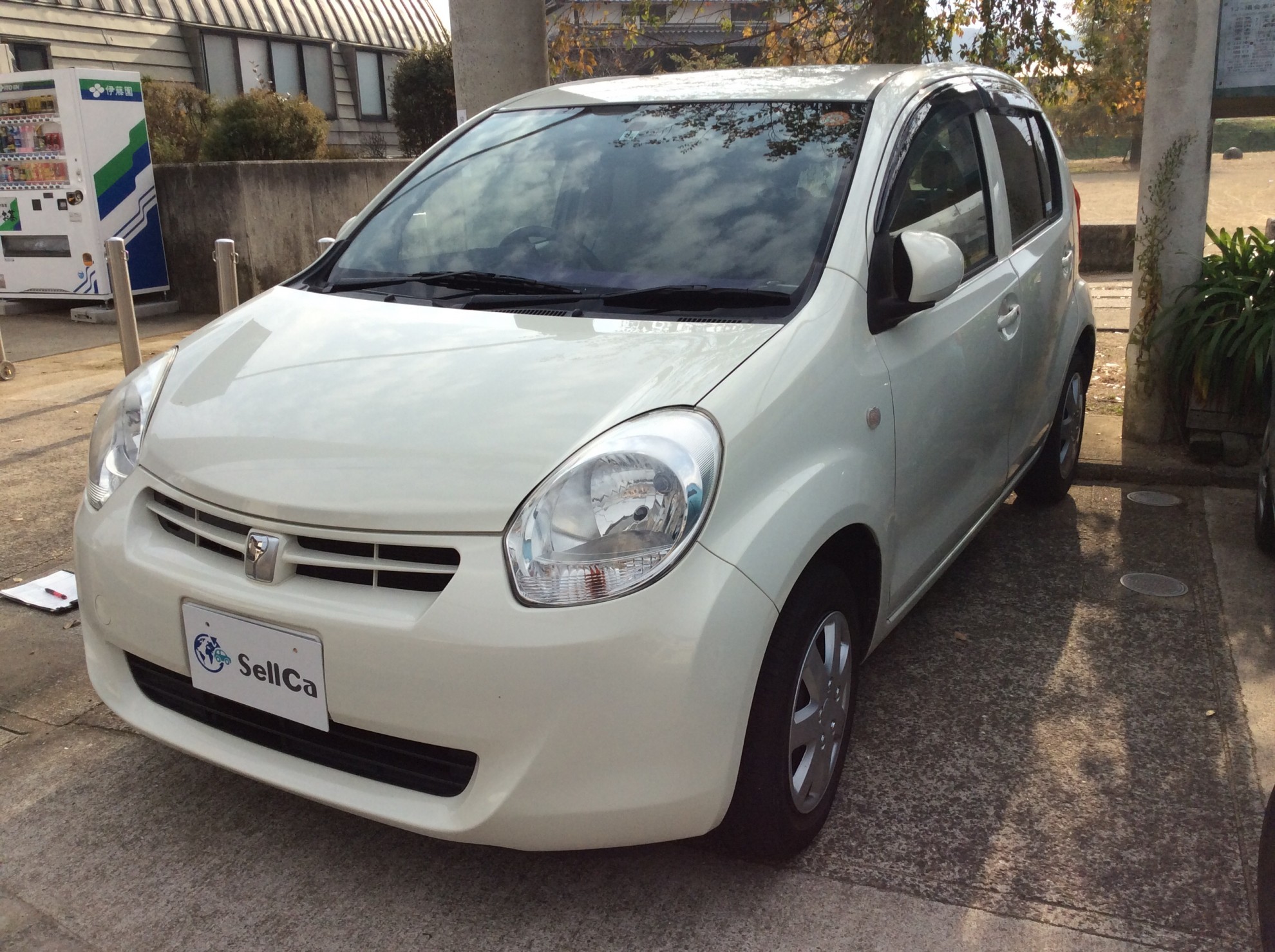 トヨタ パッソの売買実績画像