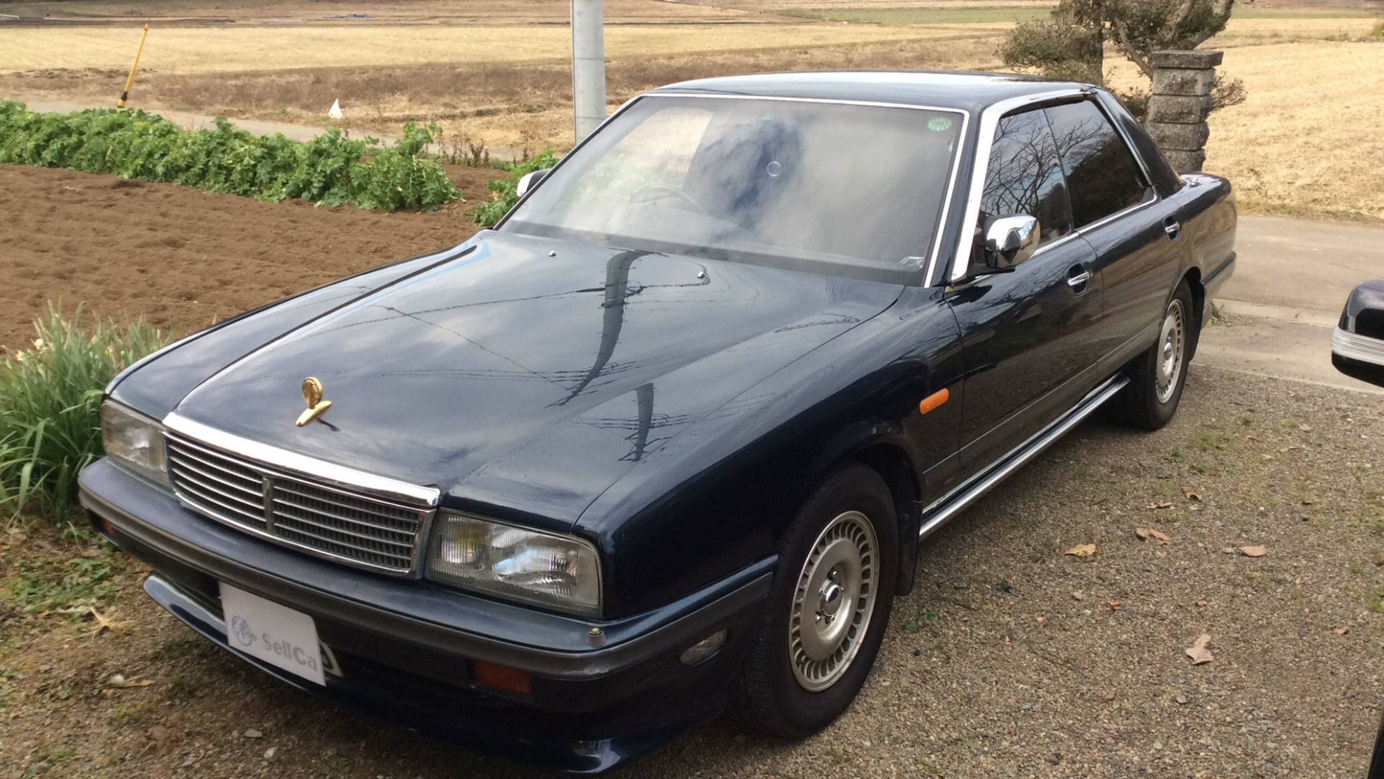 日産 シーマの売買実績画像