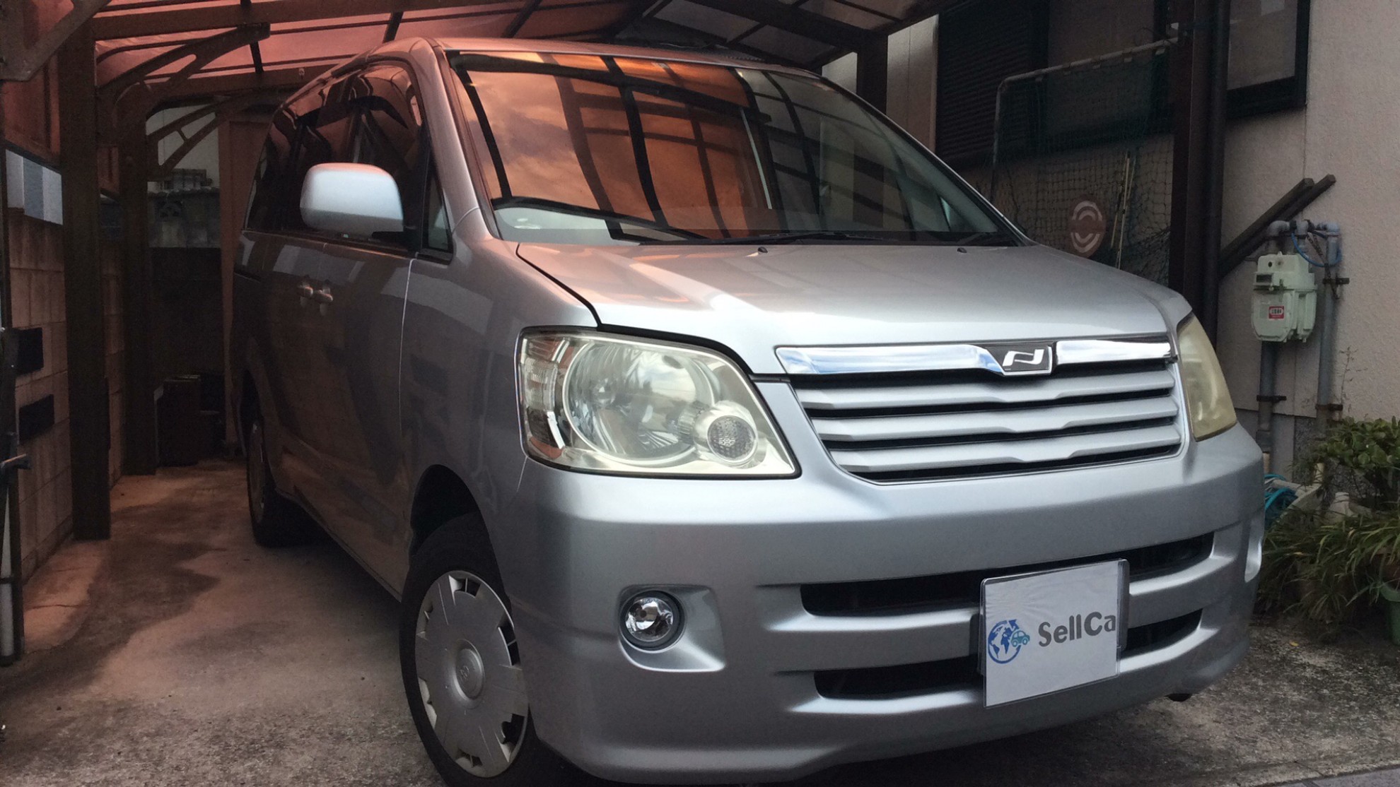 トヨタ ノアの売買実績画像