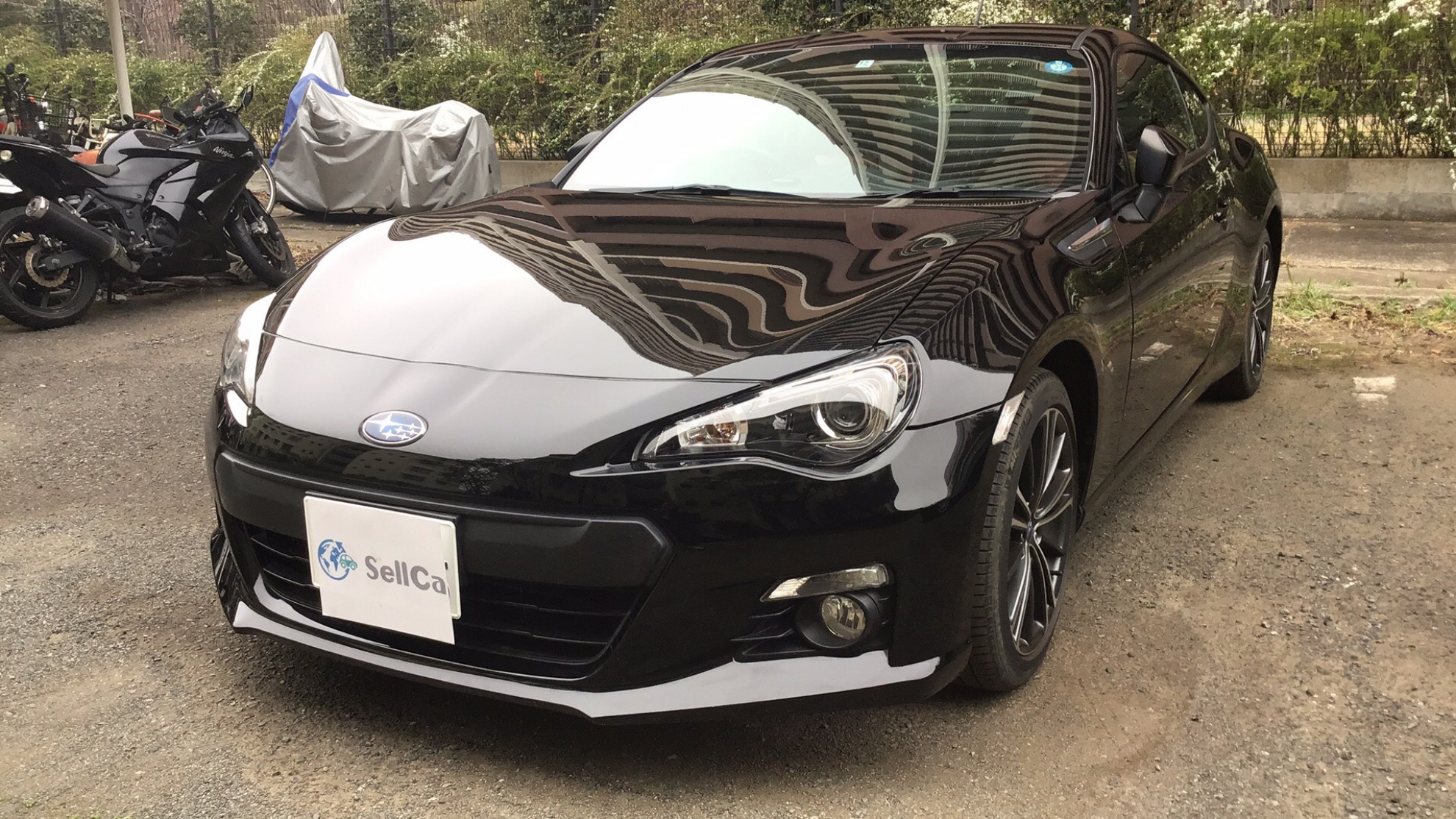 スバル BRZの売買実績画像