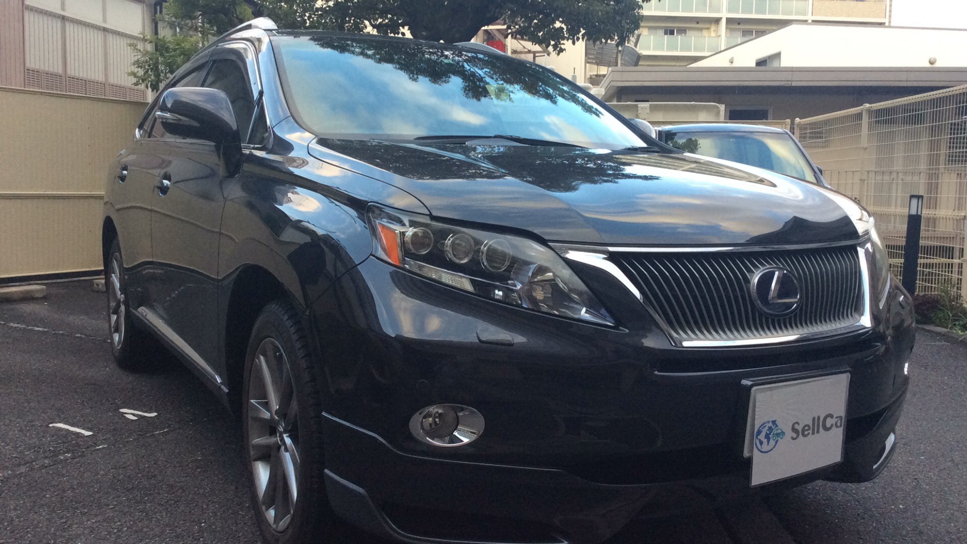 レクサス RXの売買実績画像