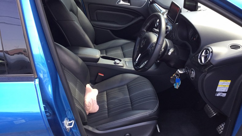 内装前方シート