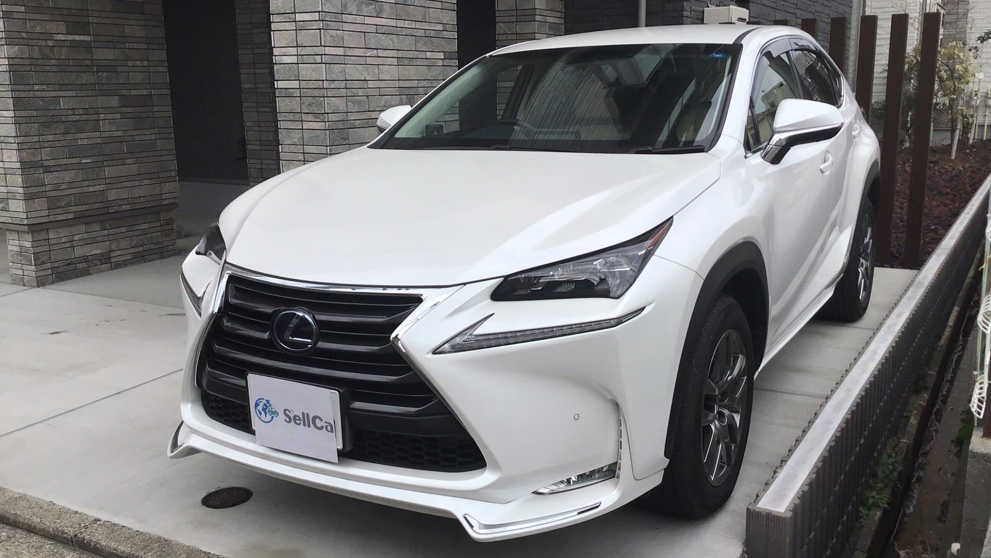レクサス ＮＸの売買実績画像