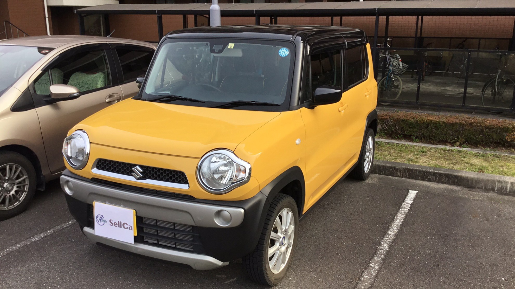 スズキ ハスラーの売買実績画像