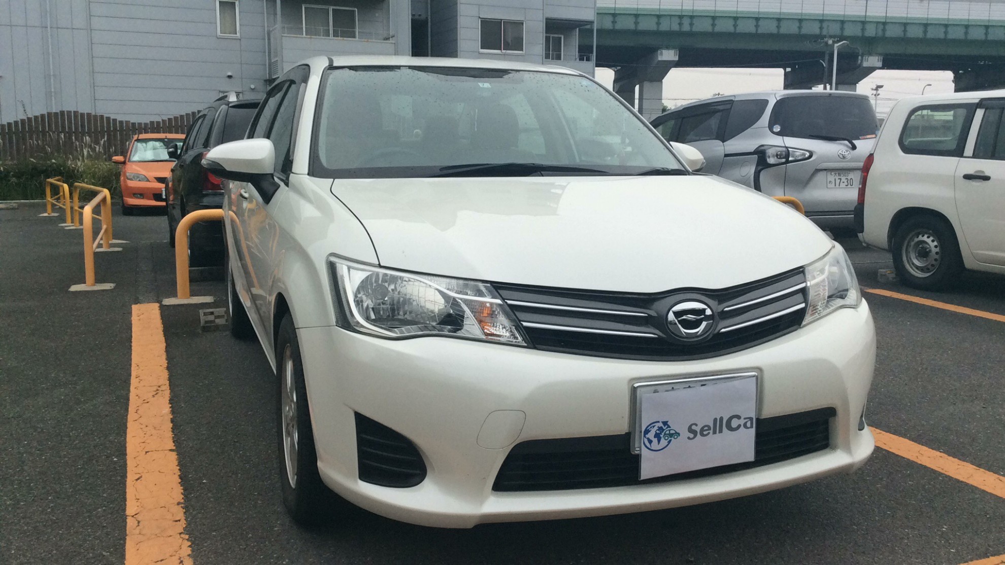 トヨタ カローラアクシオの売買実績画像