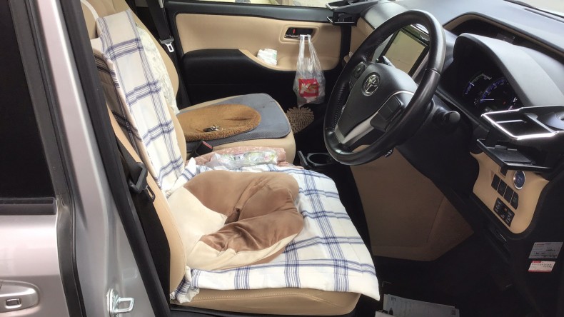 内装前方シート